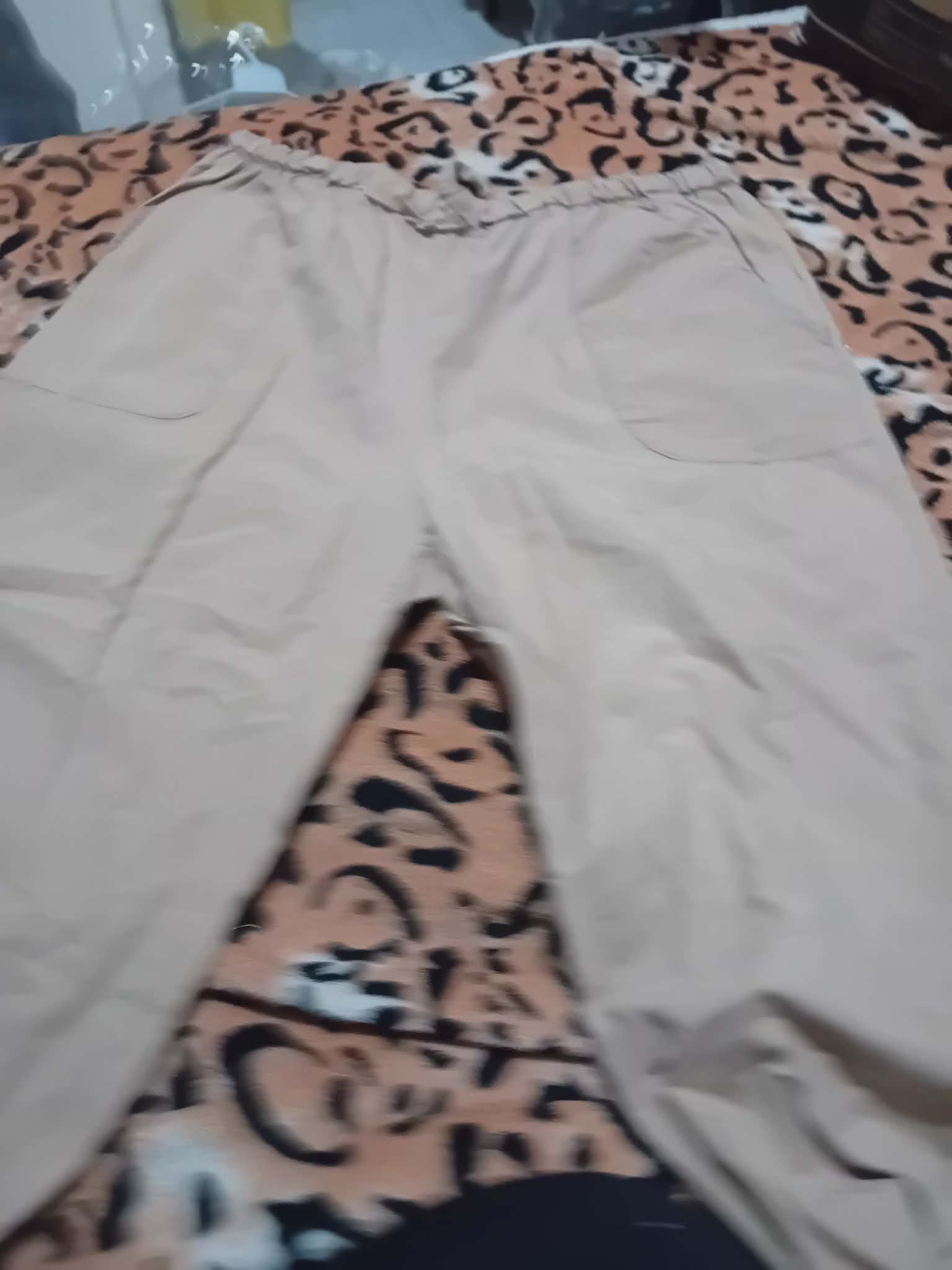 Light Beige Casual Pants