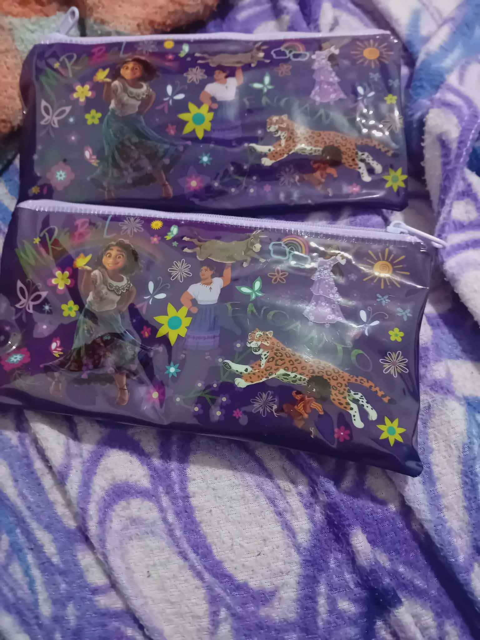 Encanto Magic Pencil Case