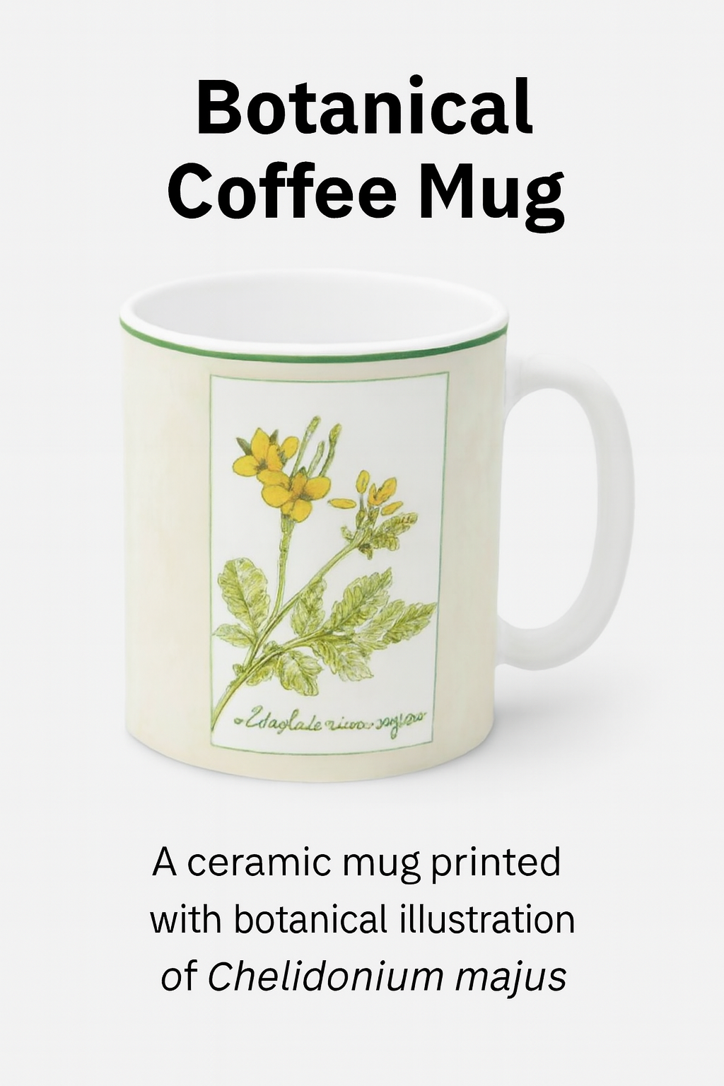 Golden Celandine” Vintage‑Style Botanical Mug